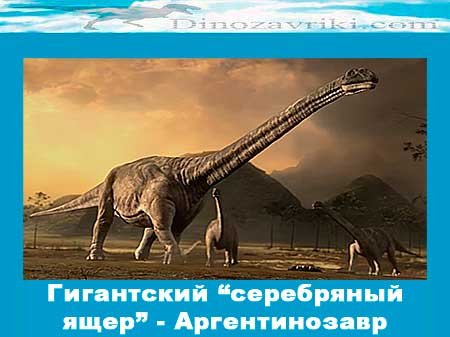 Открытки